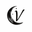 Visionary Paint logo